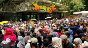 pengunjung-bandung-zoo-ramai-usai-hari-terakhir-tiket-gratis