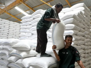 Berita Terupdate Harga Pangan Nasional Mulai Stabil Kembali